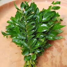 Fresh curry leaves