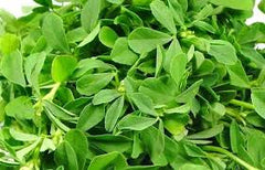 Methi leaves